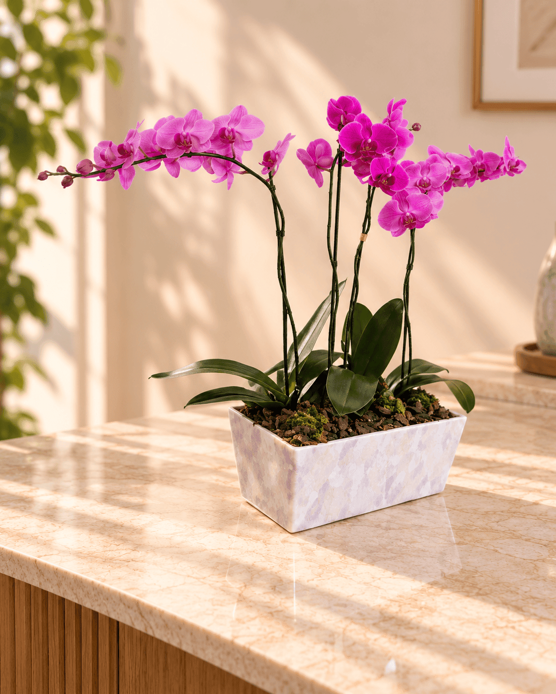 Orquídea Trío Rosé - Imagen 3
