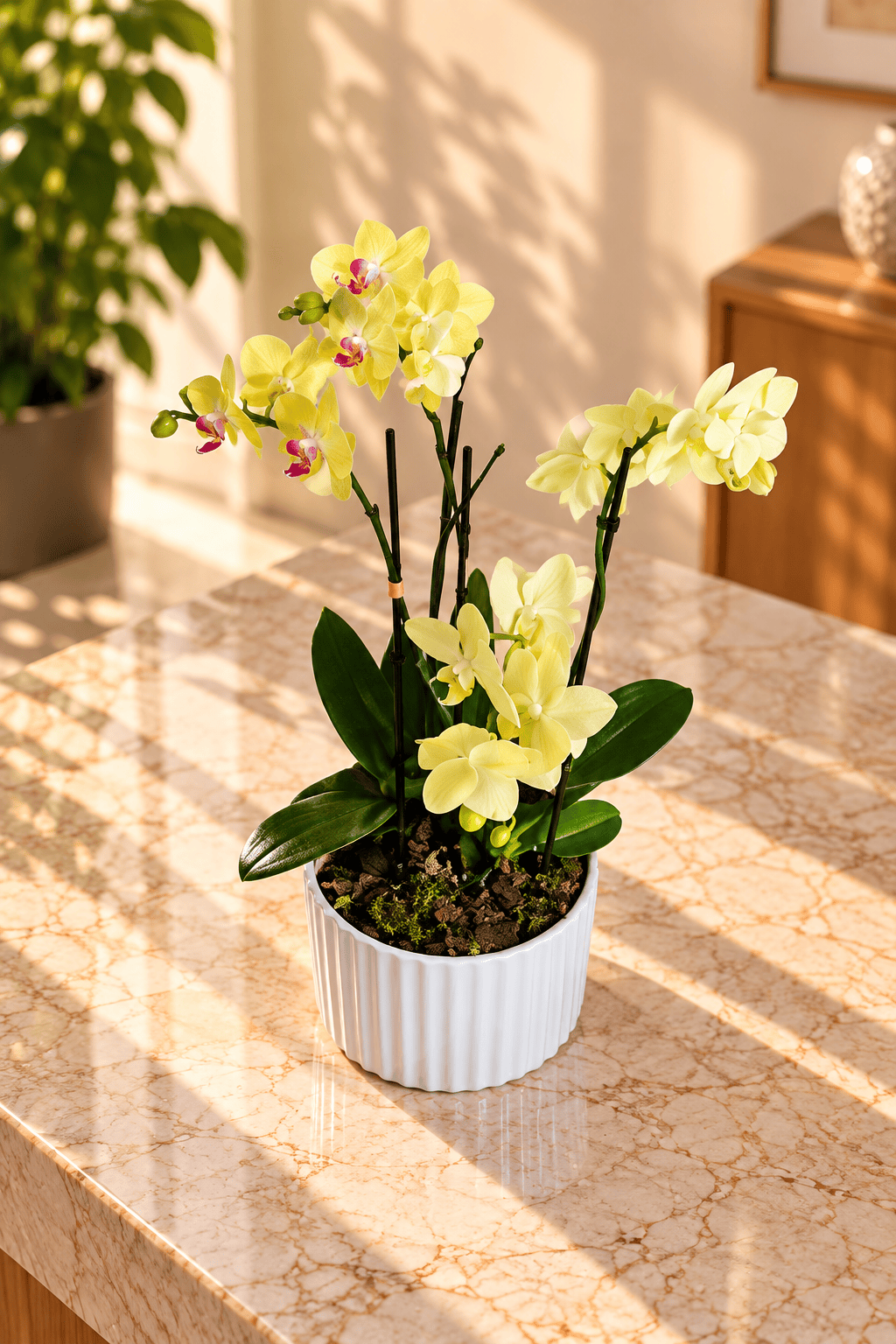 Trilogía Imperial de Orquídeas - Imagen 3