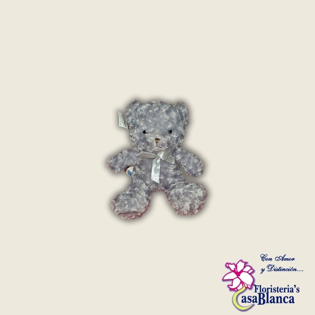 Osito Corazón Gris 🧸